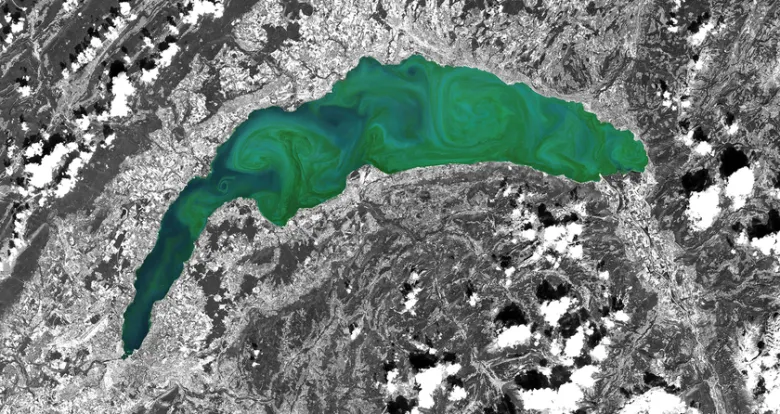 ALGA